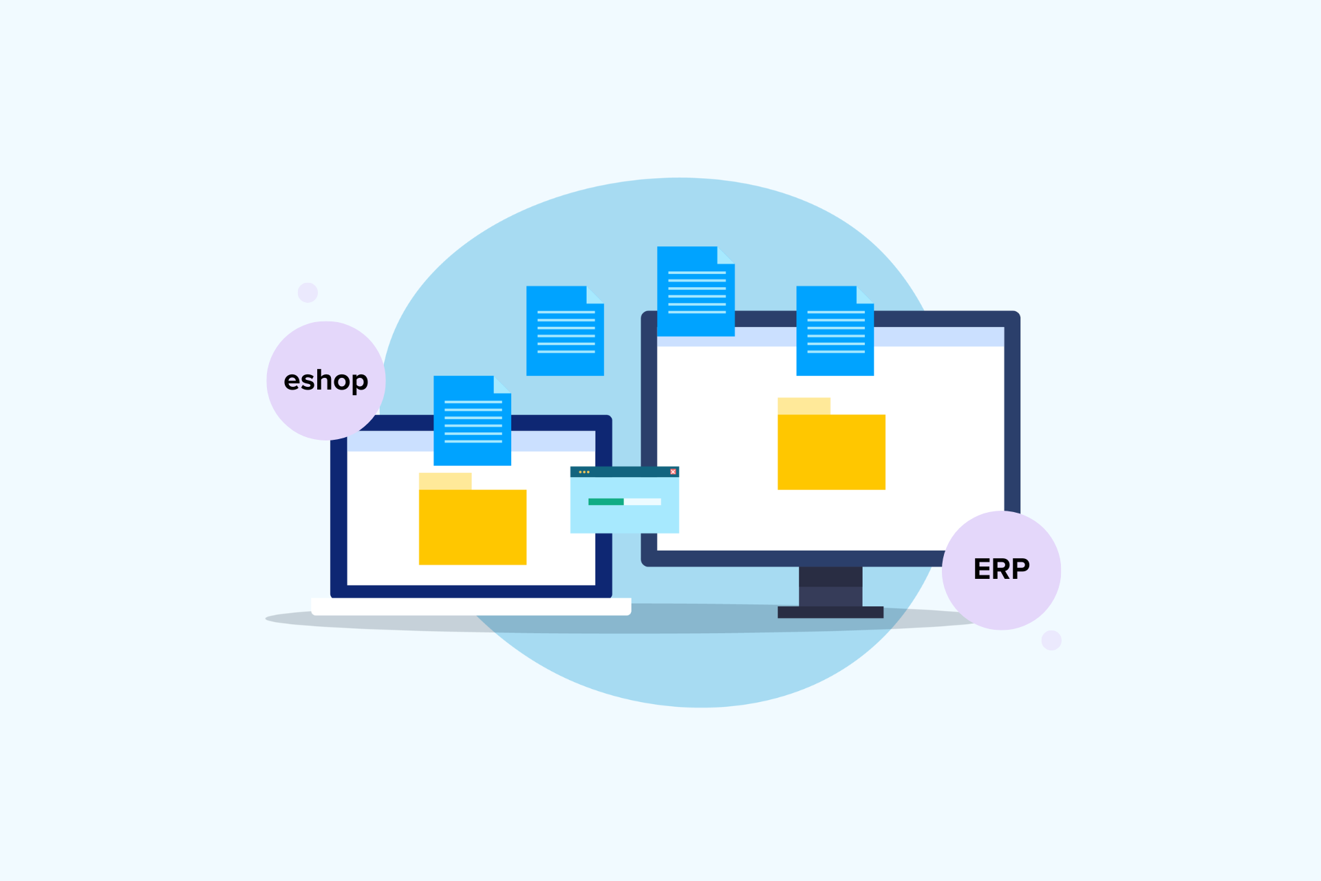 Take Advantage of Full Integration and Data Transfer Between Your eShop and ERP System